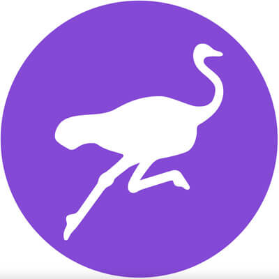 Nostr logo