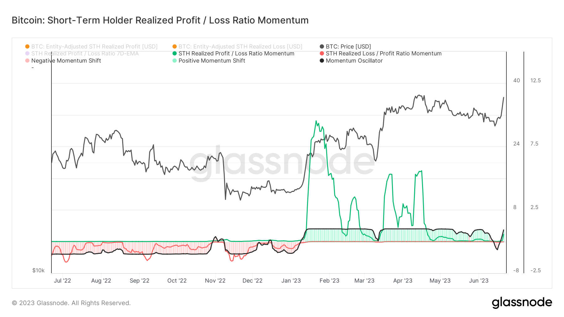 short term holder 1 year profit loss momentum