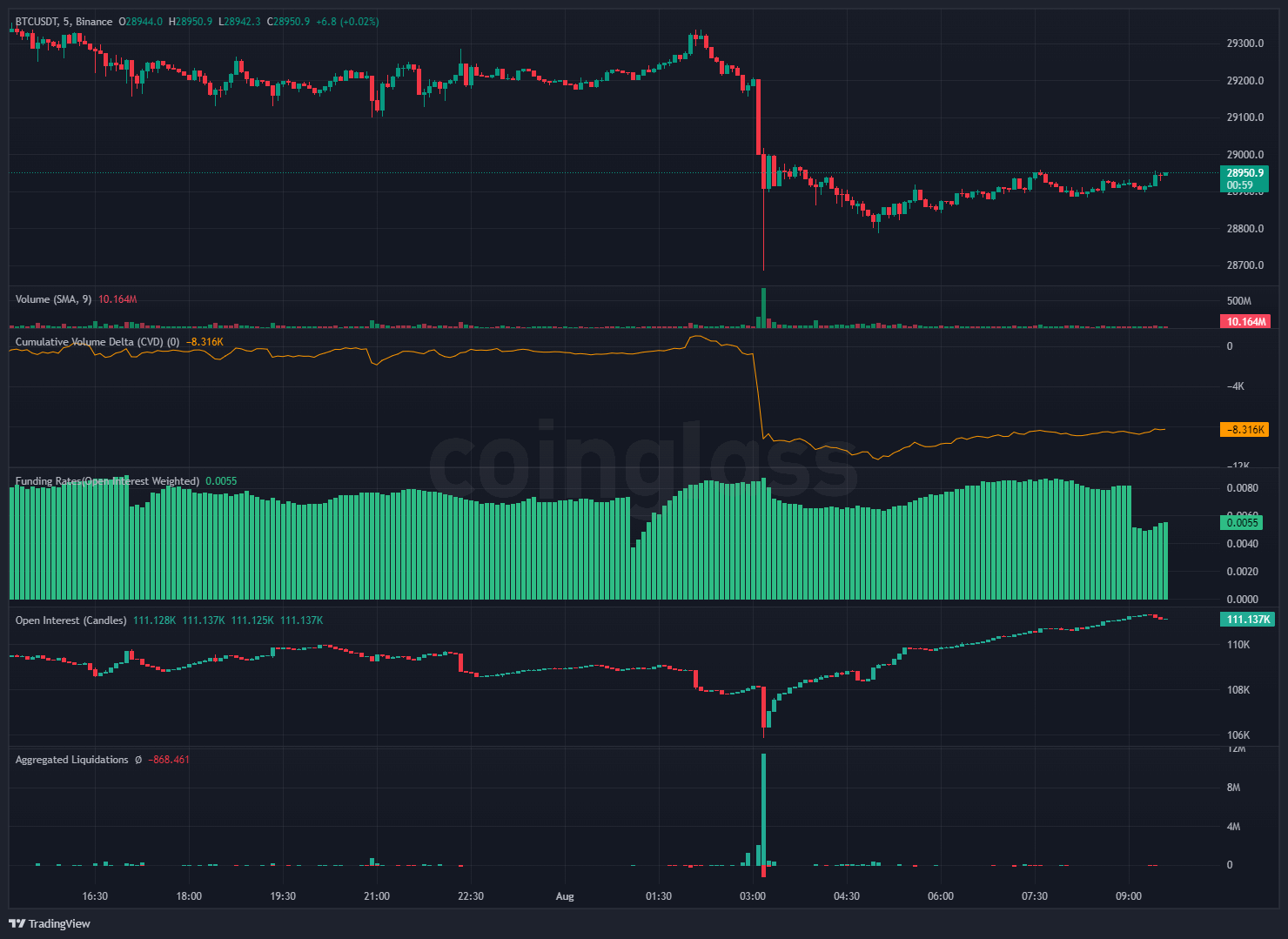 Bitcoin’s price drop supported by 100x leverage