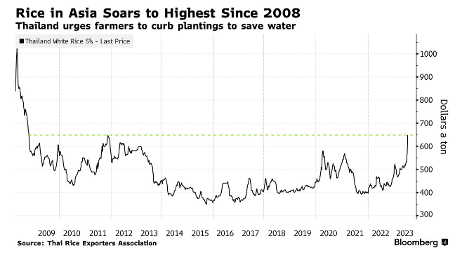 thai white rice price