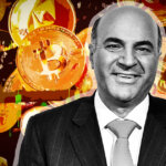‘Unregulated, rogue’ crypto exchanges to end under passport system, says O’Leary
