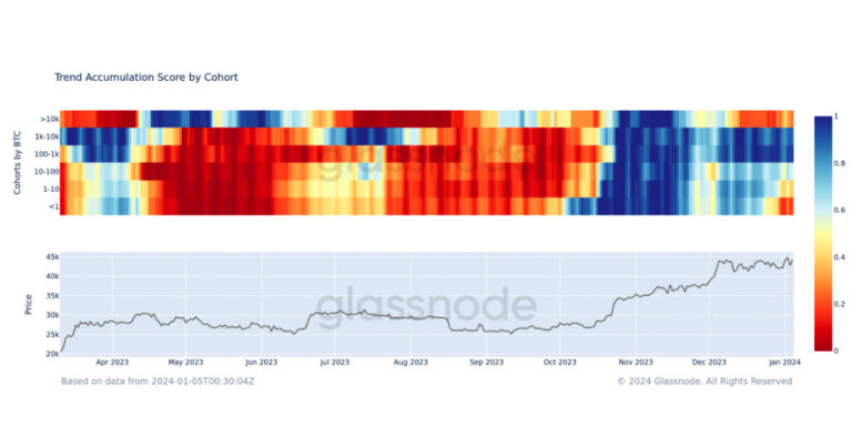 Shift in digital asset market as smaller wallets sell off, while mid-tier investors continue to accumulate