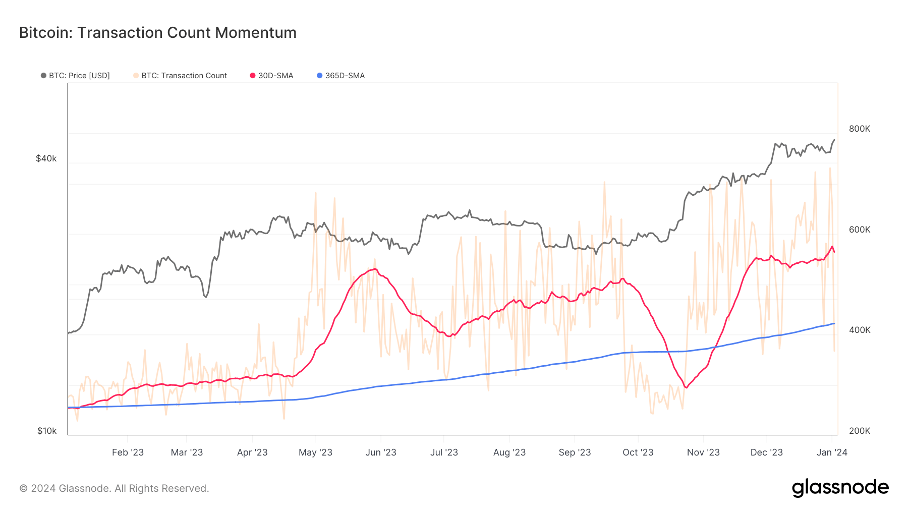bitcoin transaction momentum 1y