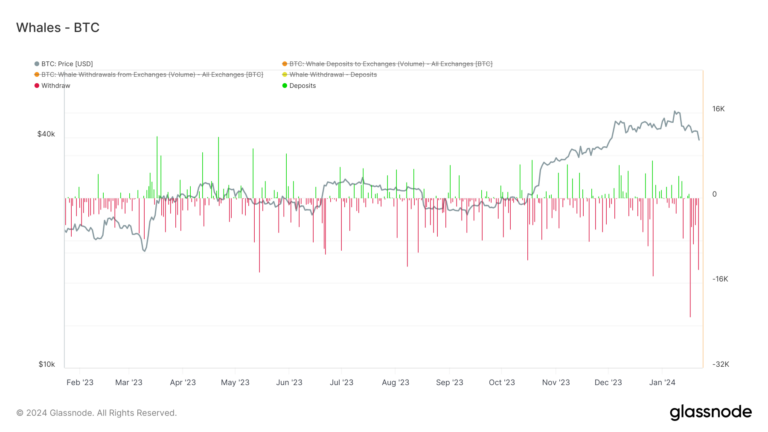 Surge in Bitcoin whale transactions defies market downturn