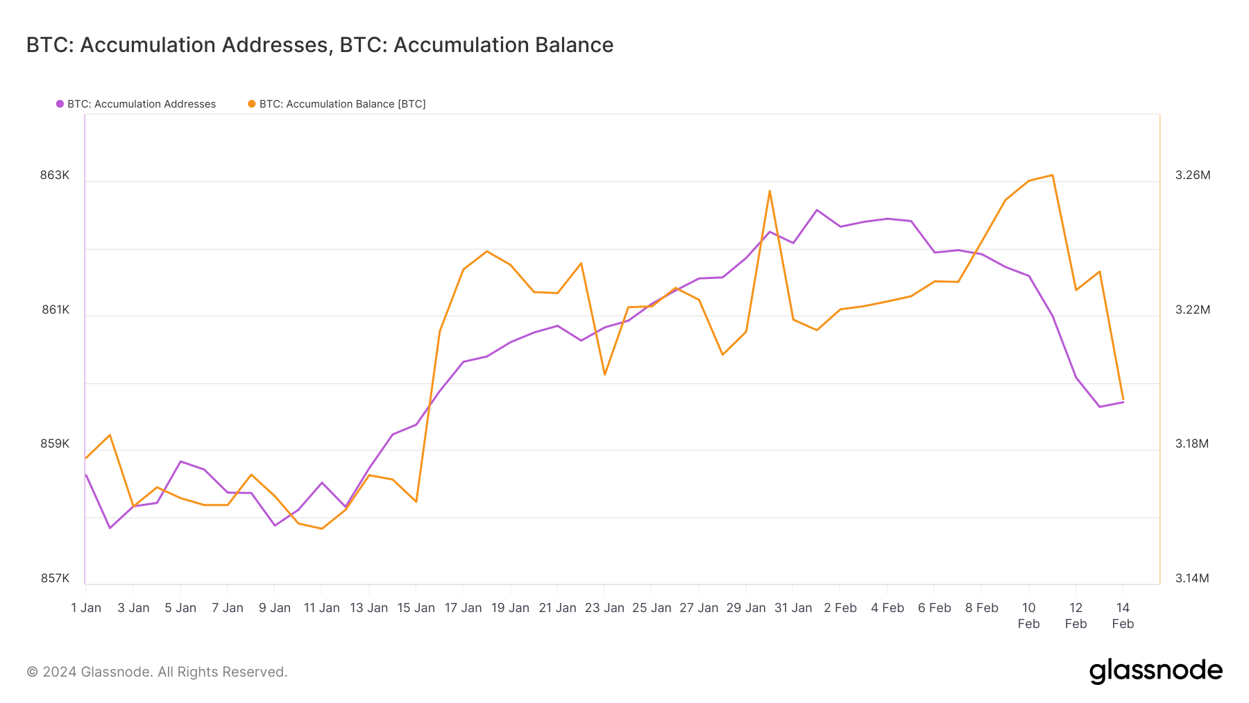 bitcoin accumulation address number and supply ytd