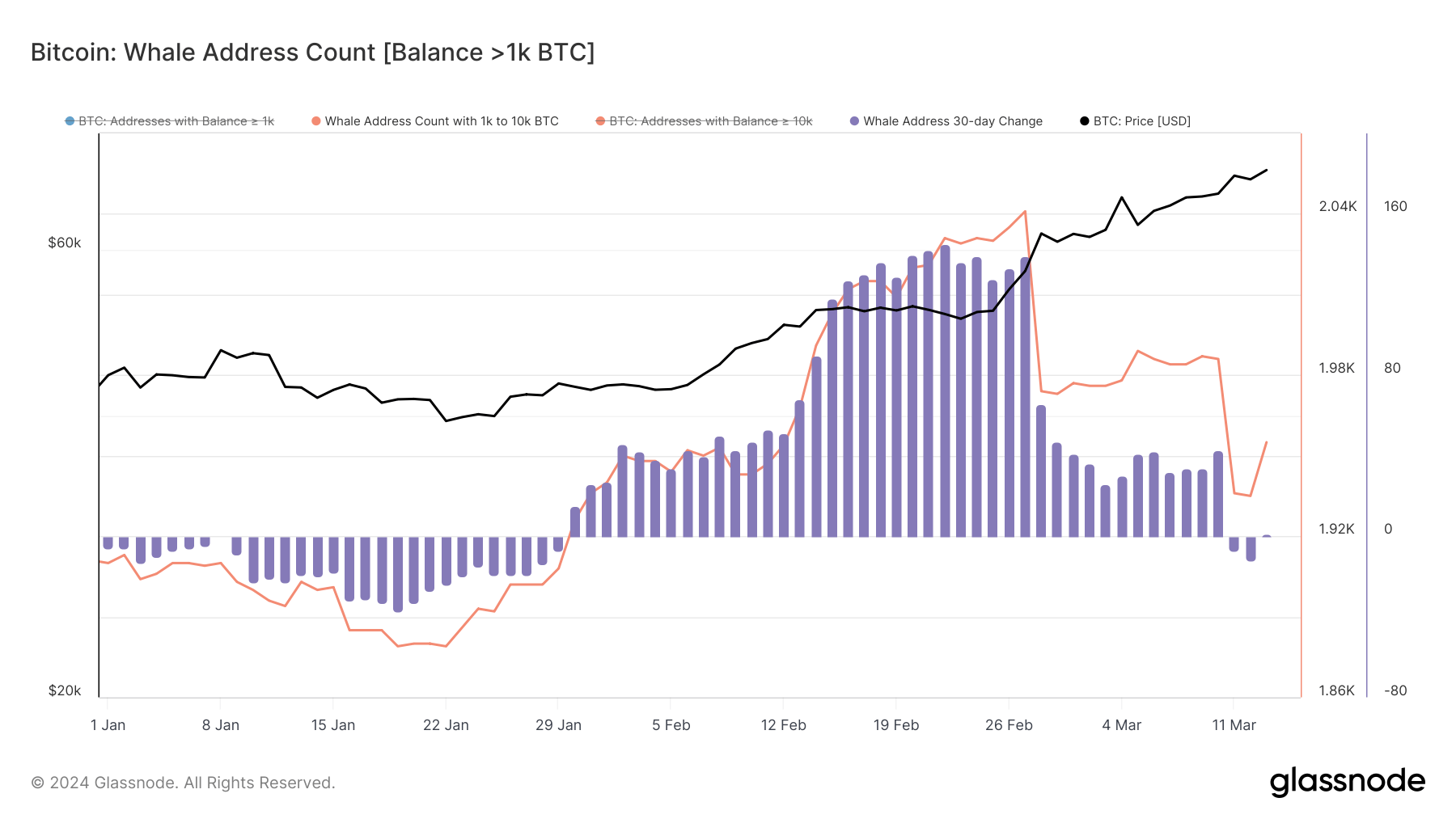 Bitcoin whale number of addresses ytd