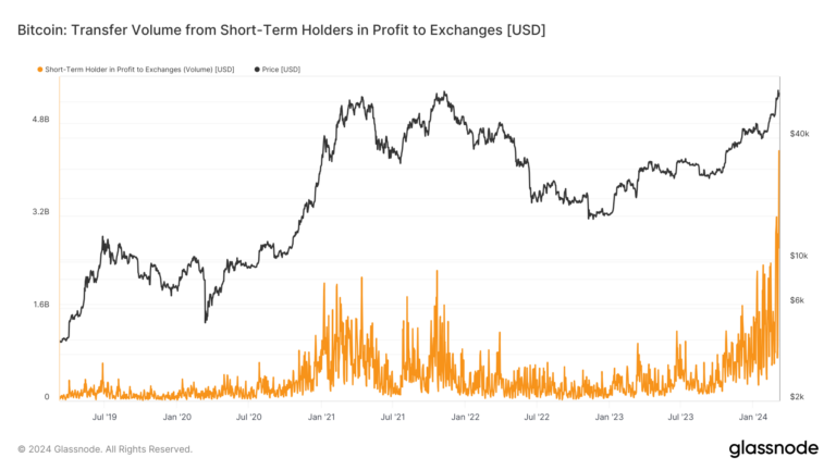 short-term holders profit