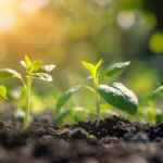 Seeds of change: How emerging tech cultivates a sustainable revolution in agriculture