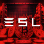 Tesla and SpaceX’s Bitcoin holdings unveiled by Arkham Intelligence