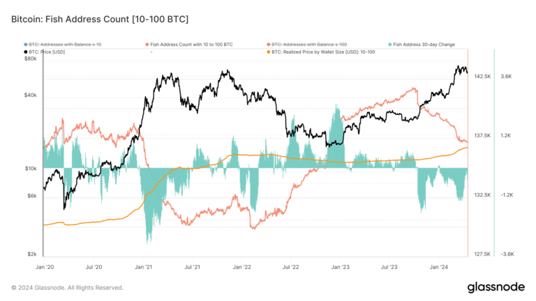 OG Bitcoin holders or ‘King’ Fish retain $15k cost basis after buying the dip