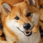 Shibarium sees brief outage amid Shiba Inu’s Layer-3 blockchain ambitions