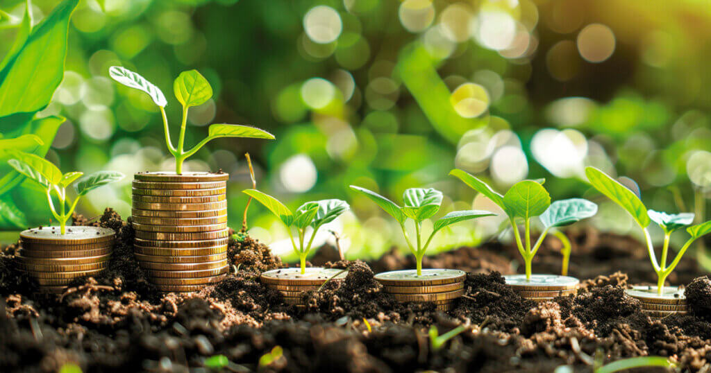 Navigating the Web3 startup landscape with limited funds