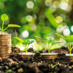 Navigating the Web3 startup landscape with limited funds