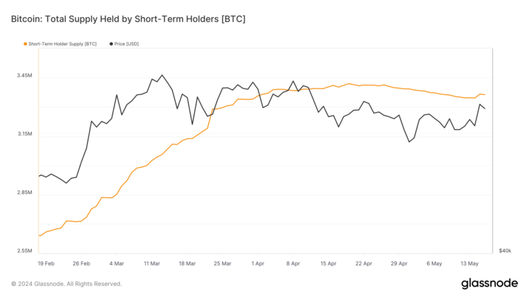 Short-term Bitcoin holders increase by 20,000 BTC this week, with just over 50% from US ETFs