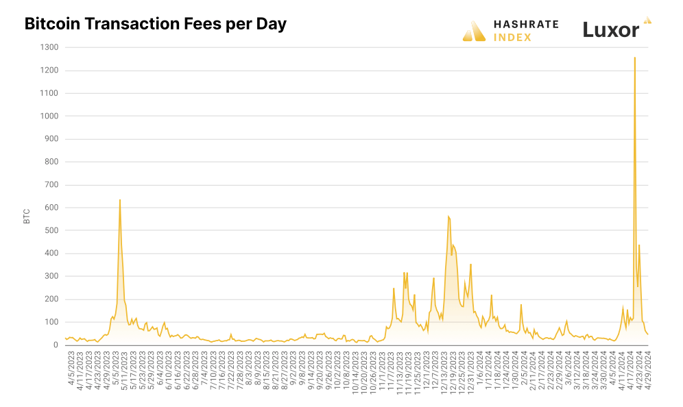 bitcoin daily transaction fees