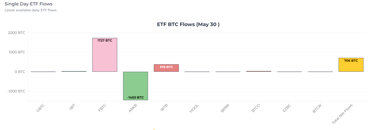 ETF BTC Flows: (May 30): (Source: Heyapollo)