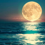 Moralis adds support for Moonbeam Network to boost Polkadot development tools