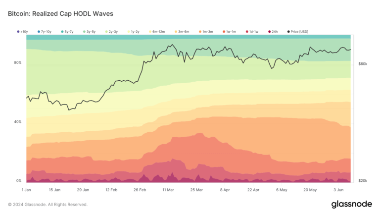 Market dynamics show complex interplay between long-term stability and short-term speculation