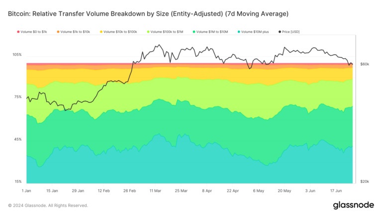 Mid-sized Bitcoin transactions rise, reflecting market maturation and retail growth