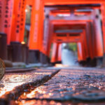 Metaplanet’s buying spree and Mt. Gox test transactions follow Bitcoin’s brief $68K climb