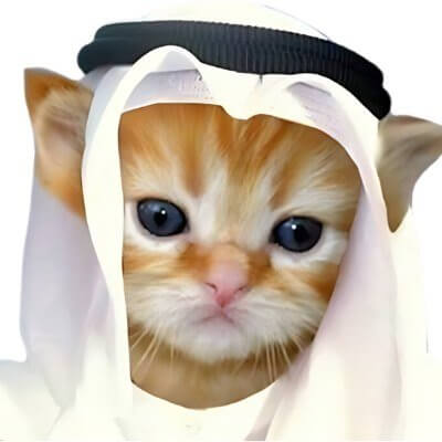 Habibi