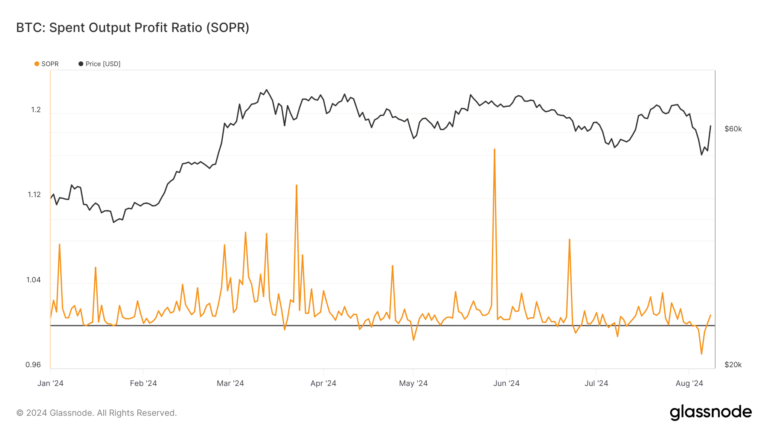 Bitcoin’s Spent Output Profit Ratio shows volatility amid post-halving corrections