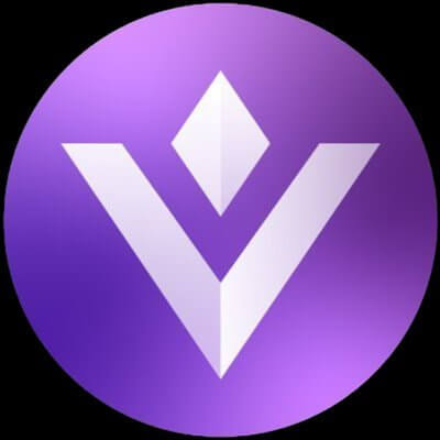 VGX Token