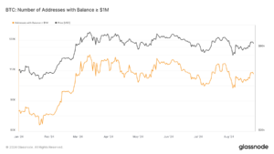 Bitcoin’s millionaire addresses rise and fall with market dynamics