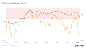 Bitcoin addresses in profit hit 100% pre-halving but fell to 80% by August