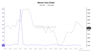 Bitcoin Fees (Total)