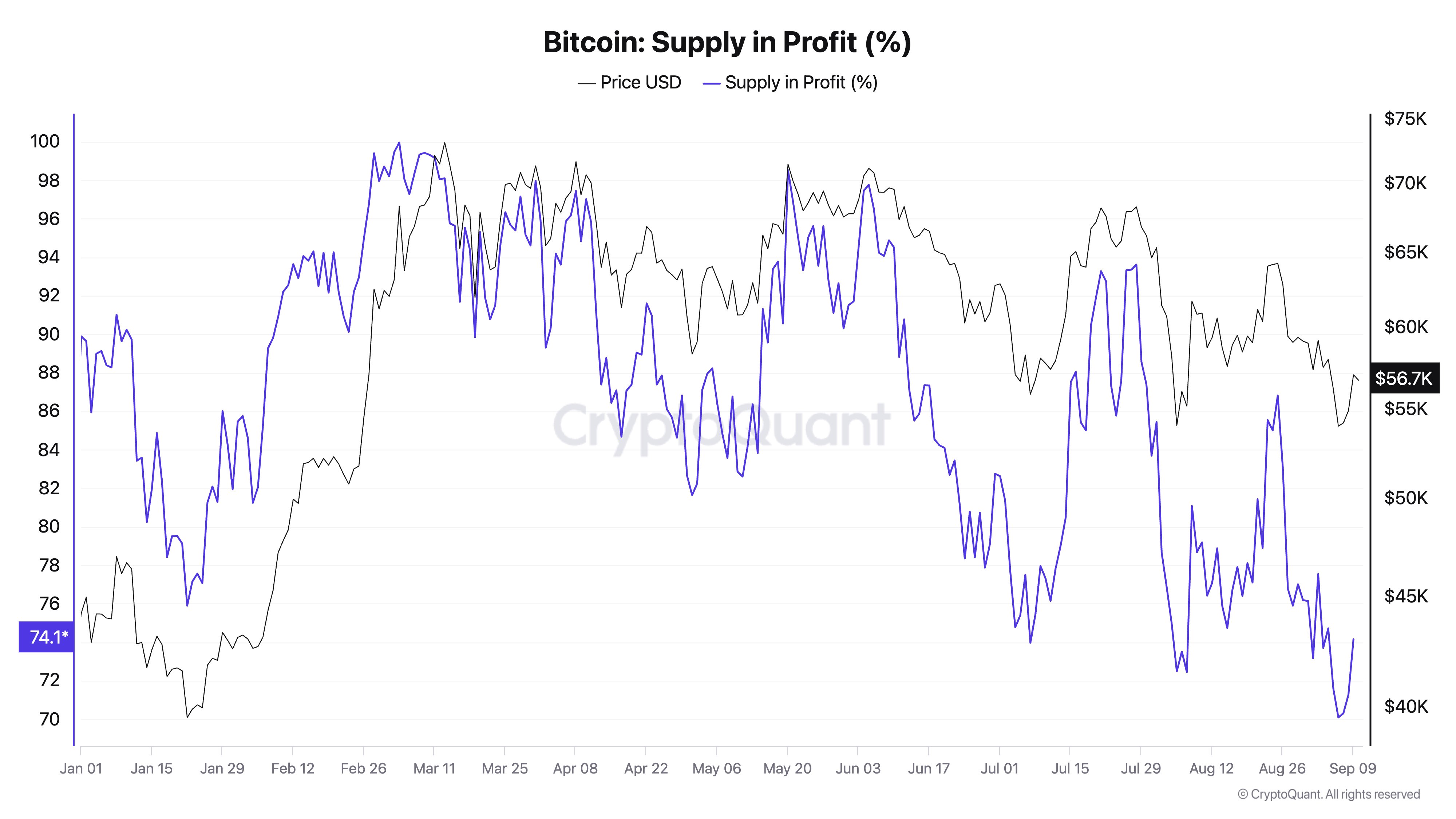 Bitcoin supply gains year to date