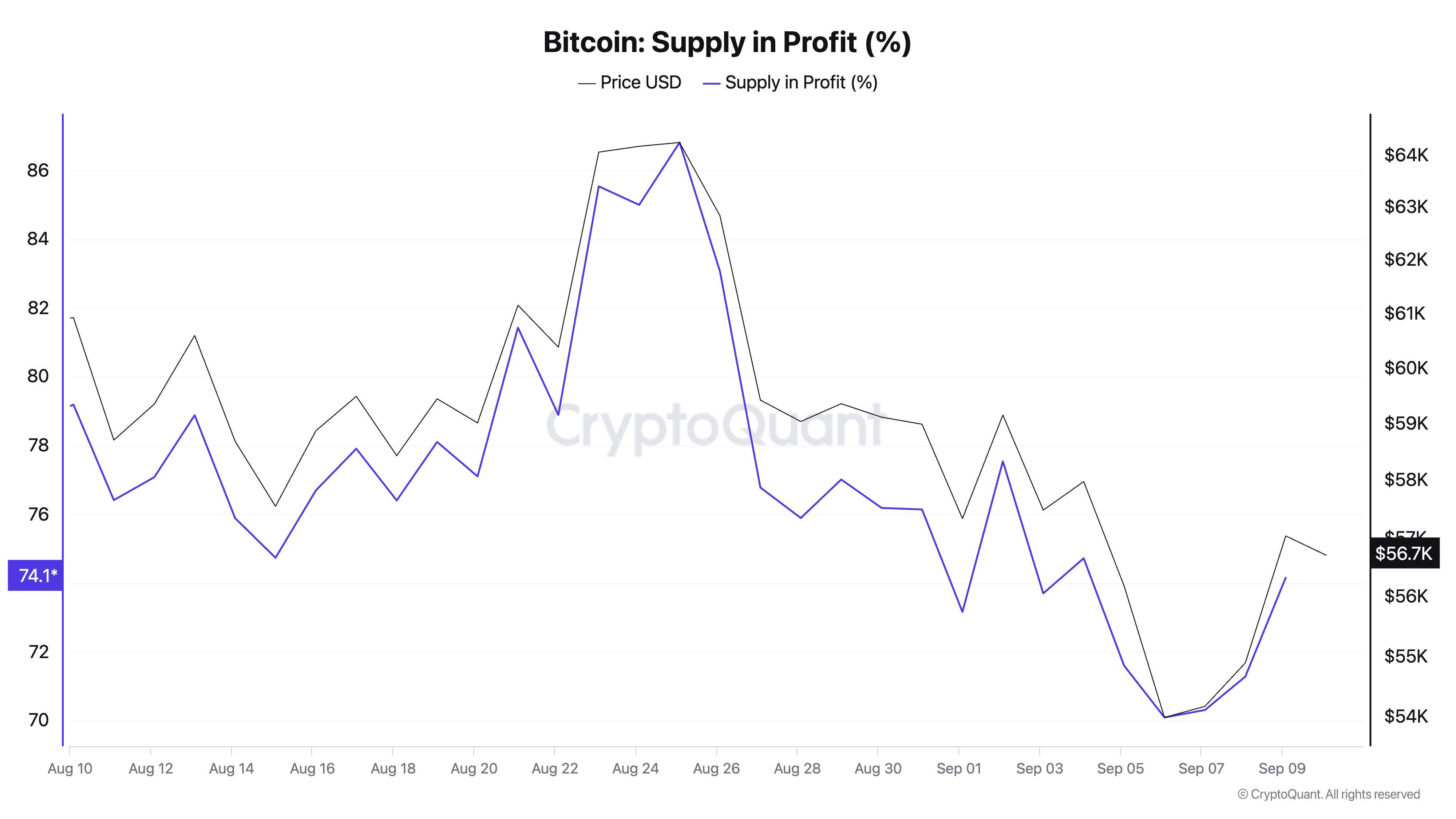 Bitcoin supply in profit