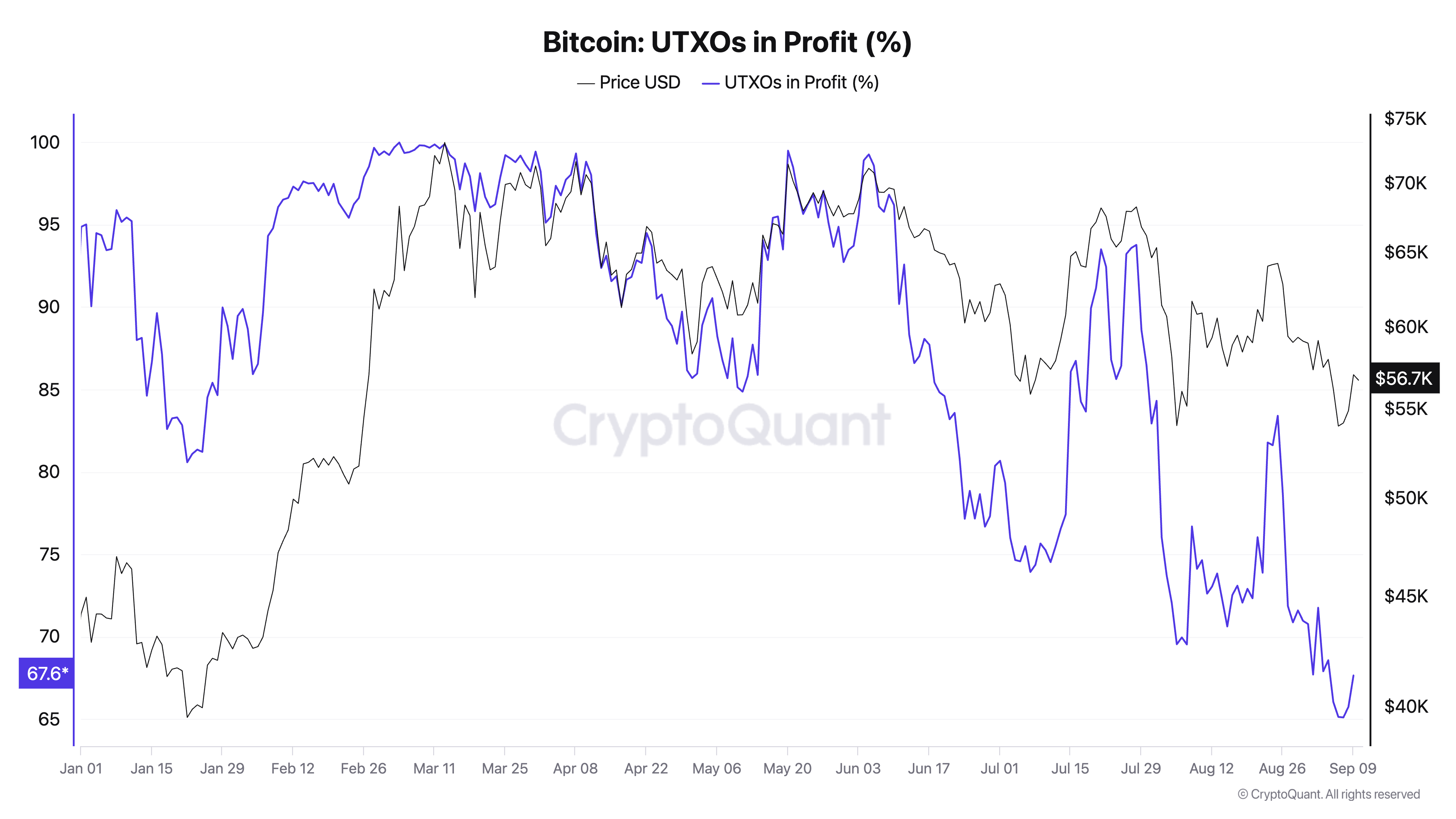 Bitcoin UTXO in profit ytd