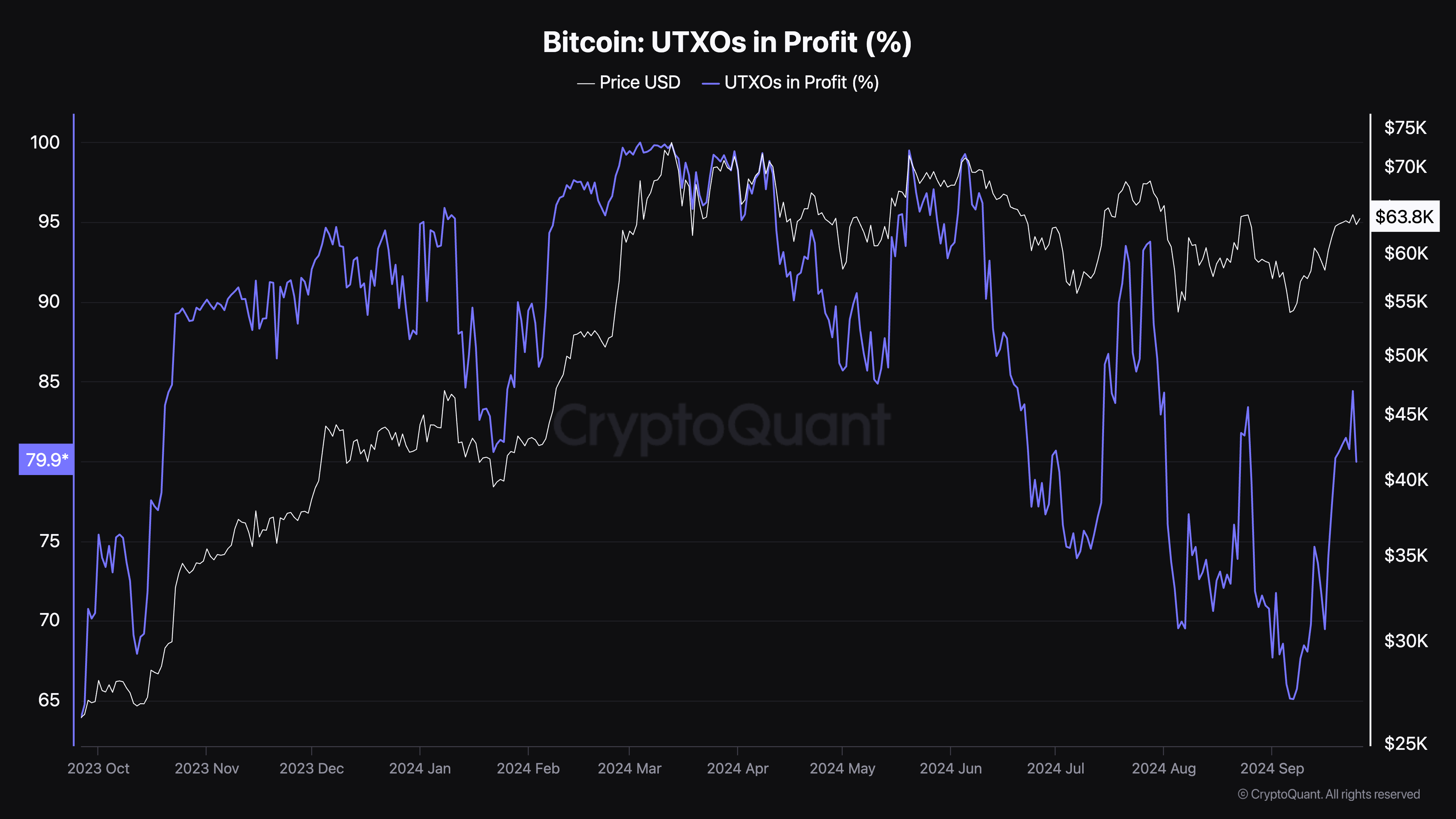 Massive Surge: 84% of Bitcoin Holders Now in Profit as Prices Surge Past $63K!