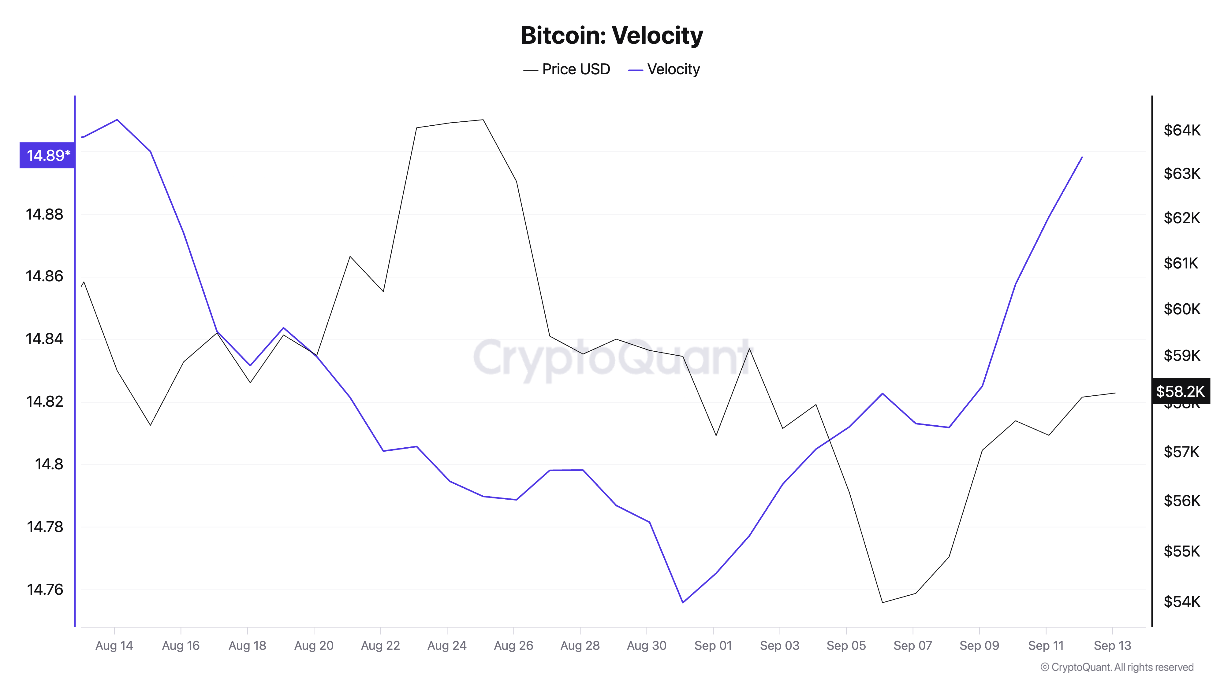 Bitcoin speed 1m