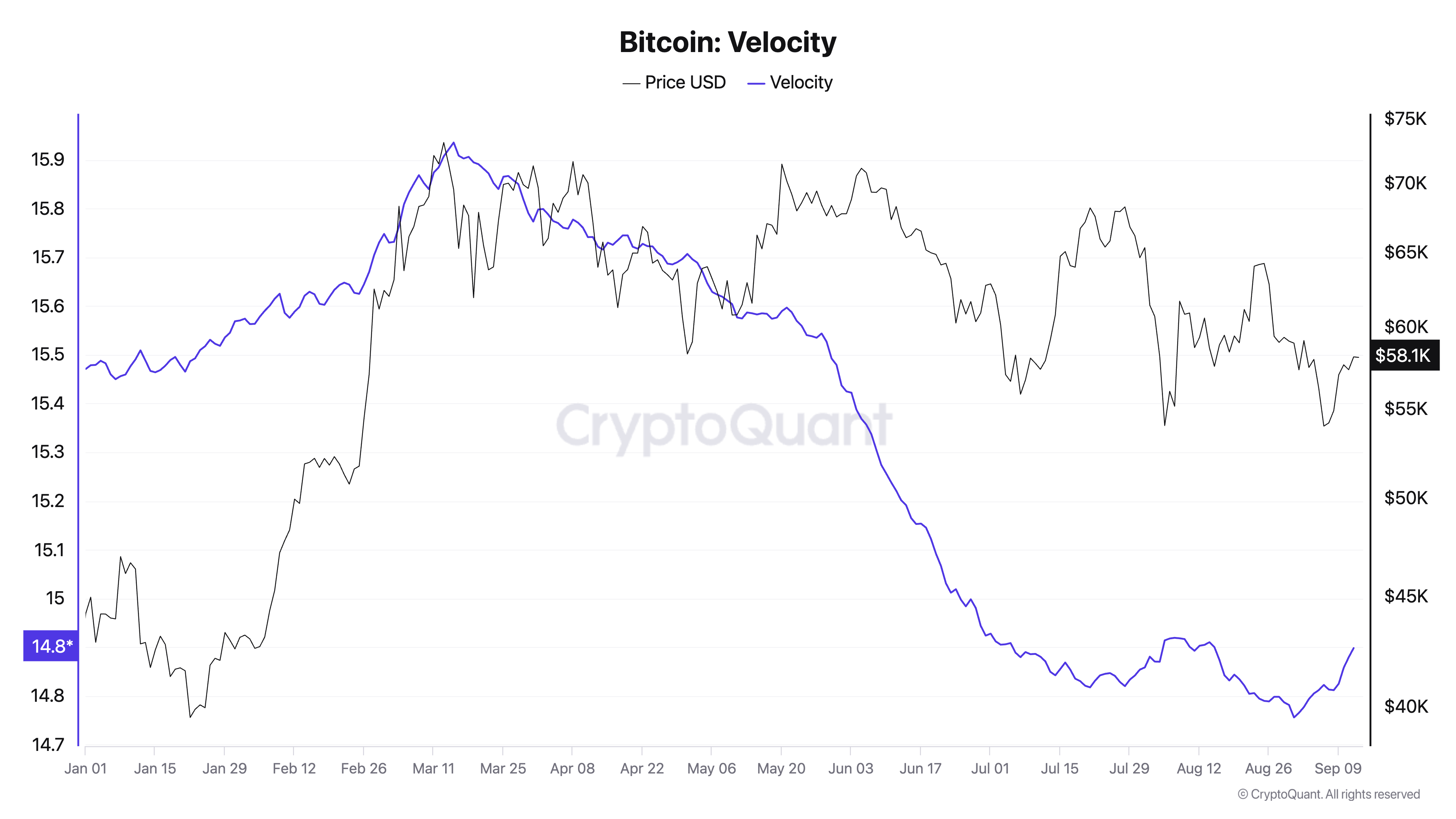 Bitcoin Velocity etc