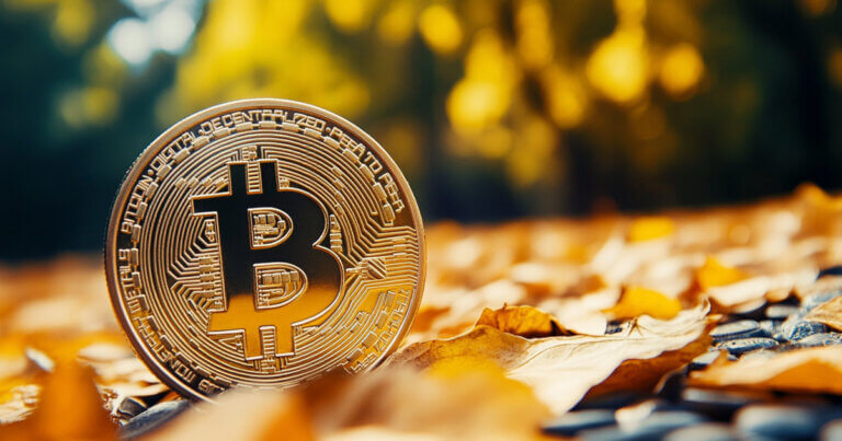 Bitcoin faces September trip however optimism grows for twelve months-end rally â Bitwise CIO