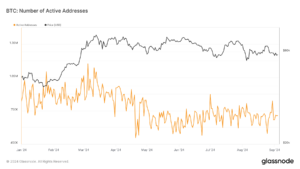 Bitcoin’s active address volatility highlights user engagement beyond price cycles