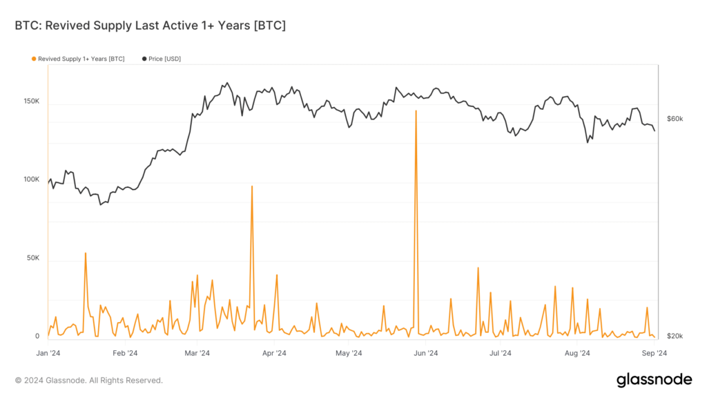 Long-term Bitcoin holders display strategic patience amid 2024 price ...