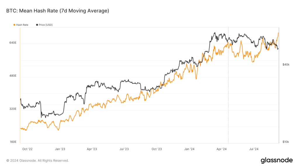 Market share by production of public Bitcoin miners hits new high