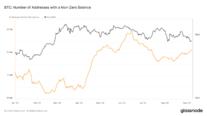 Bitcoin addresses with non-zero balances climb over 50 million in 2024