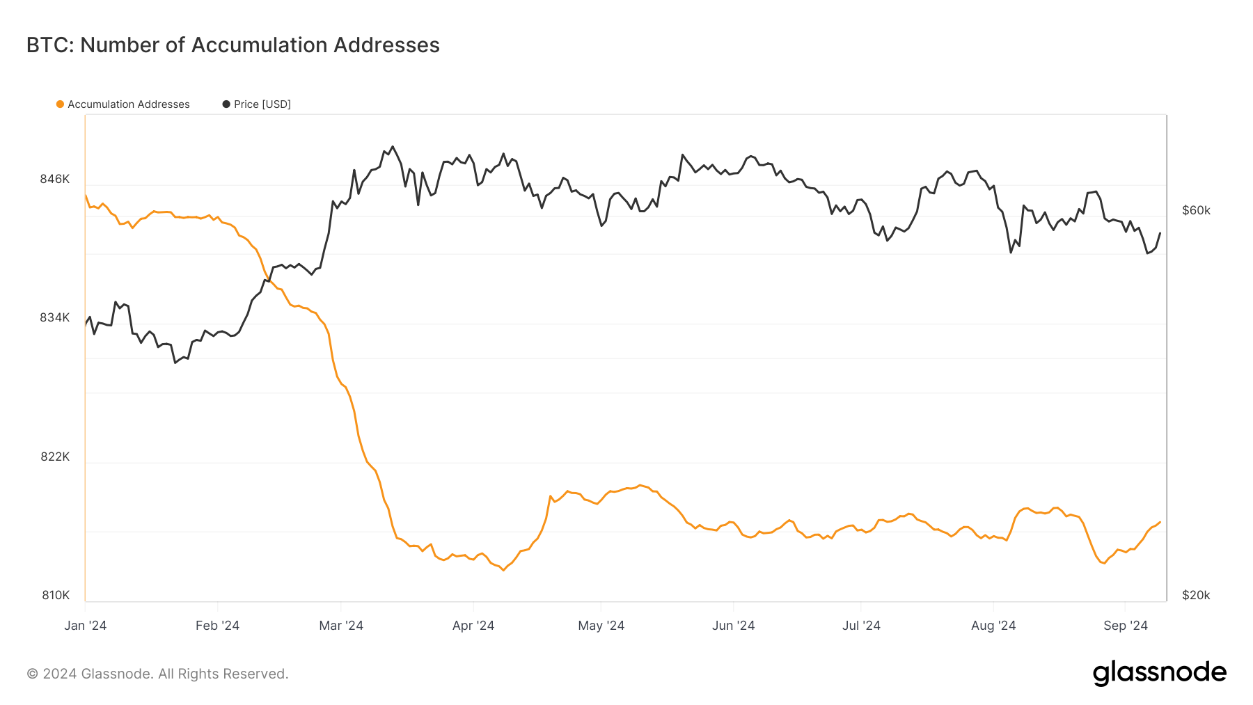 Bitcoin accumulation addresses decline sharply in 2024