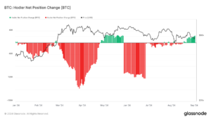 Bitcoin’s 2024 hodler net position change mirrors historical cycles, signals potential price stabilization