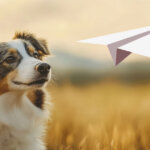 Telegram’s TON blockchain hits 1 billion transactions after DOGS memecoin chaos