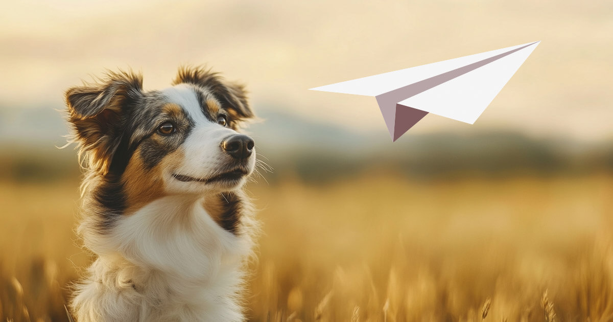 Telegrams TON blockchain hits 1 billion transactions after DOGS memecoin chaos