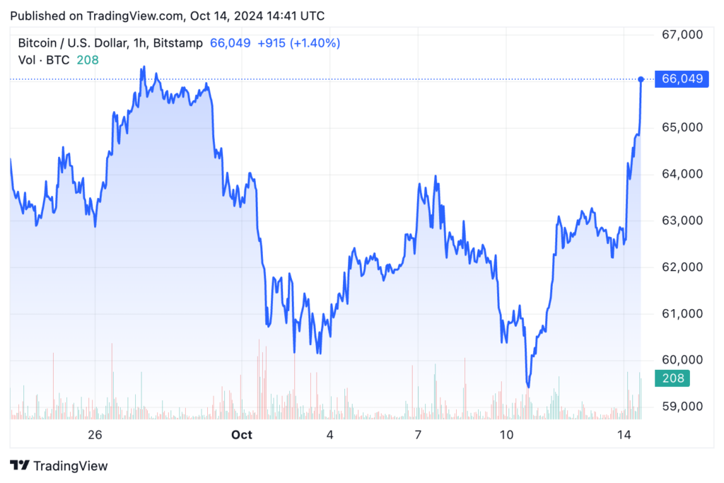 Bitcoin price chart