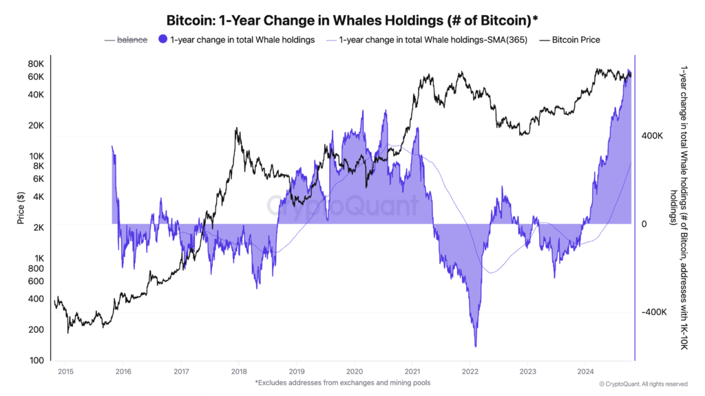 Bitcoin’s One-Year Change in Whale Holdings | Source: CryptoQuant