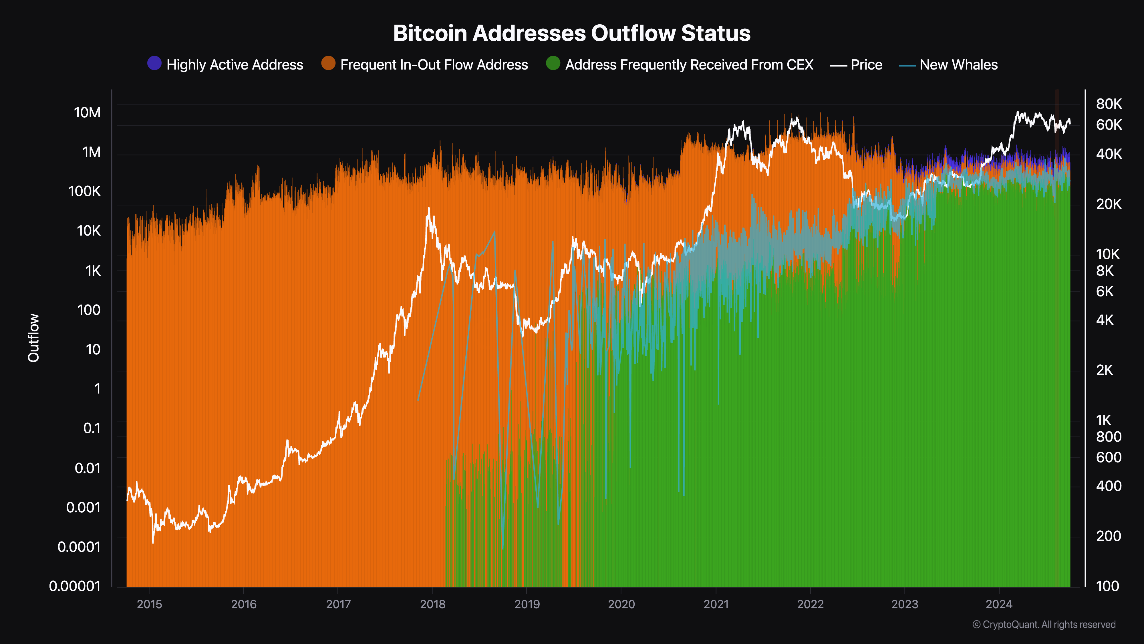 Ten years of Bitcoin address data uncovers investor behaviors and market shifts