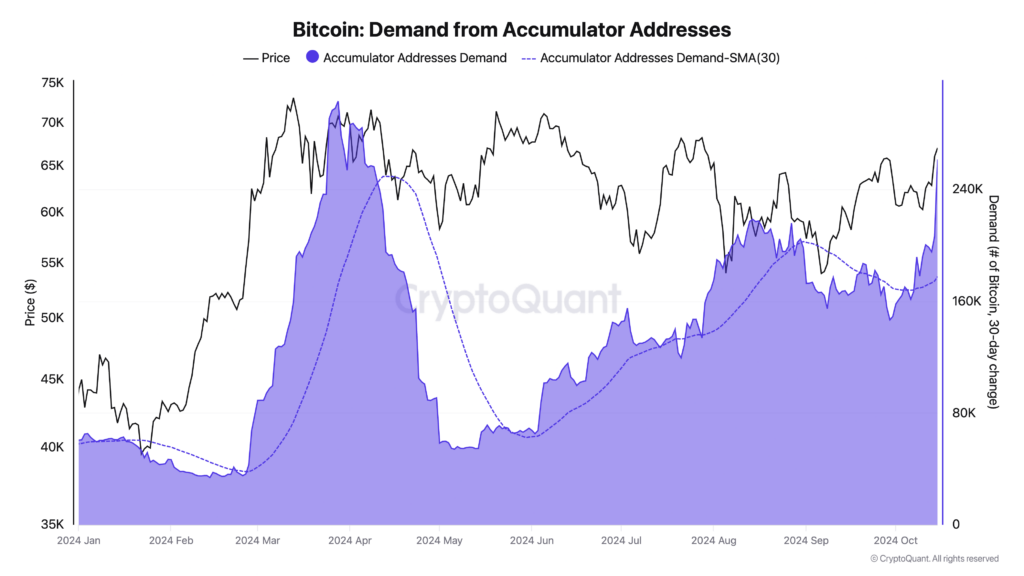  CryptoQuant