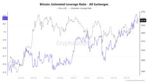 Bitcoin Leverage